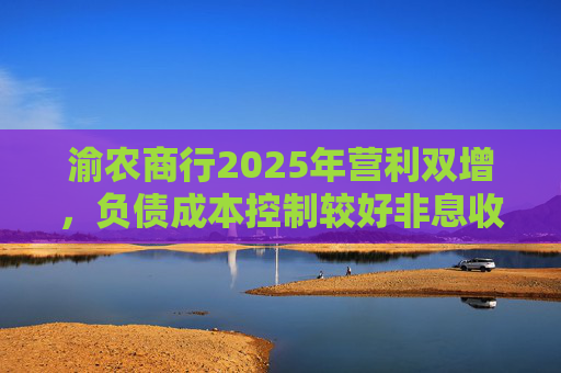 渝农商行2025年营利双增，负债成本控制较好非息收入有所下降  第1张