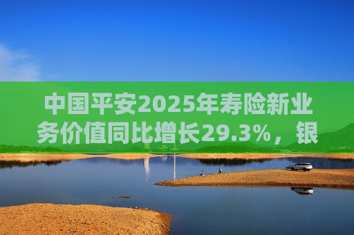 中国平安2025年寿险新业务价值同比增长29.3%，银保渠道爆发式同比138%