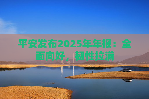 平安发布2025年年报：全面向好，韧性拉满
