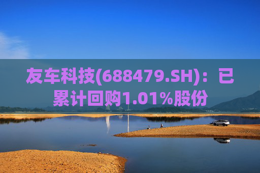 友车科技(688479.SH)：已累计回购1.01%股份
