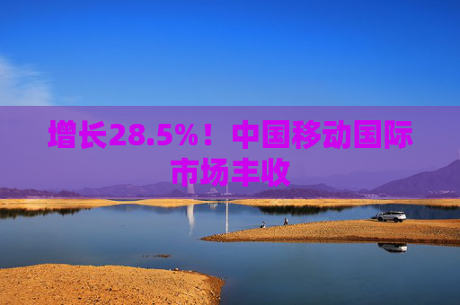 增长28.5%！中国移动国际市场丰收