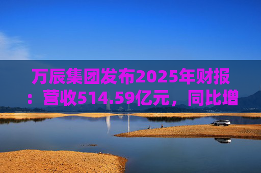 万辰集团发布2025年财报：营收514.59亿元，同比增长59.17%  第1张