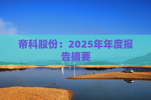 帝科股份：2025年年度报告摘要