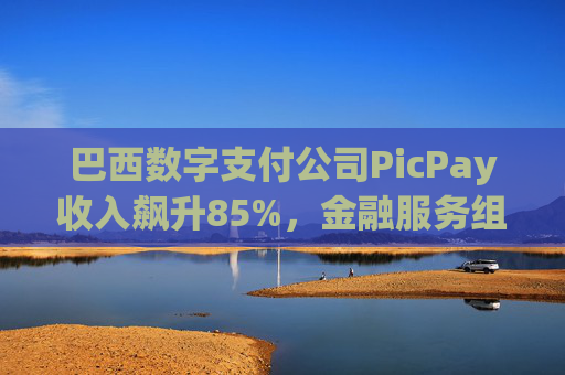 巴西数字支付公司PicPay收入飙升85%，金融服务组合持续扩大  第1张