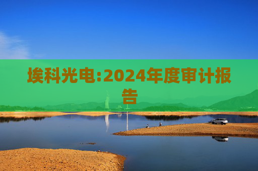 埃科光电:2024年度审计报告