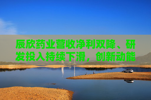 辰欣药业营收净利双降、研发投入持续下滑，创新动能不足亟待破局
