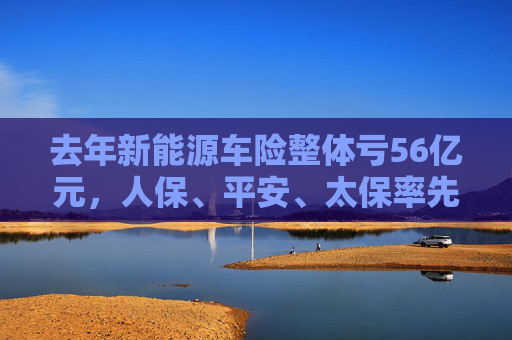 去年新能源车险整体亏56亿元，人保、平安、太保率先跨过盈亏线