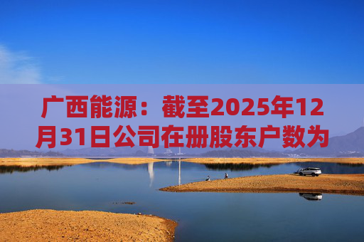 广西能源：截至2025年12月31日公司在册股东户数为53413户
