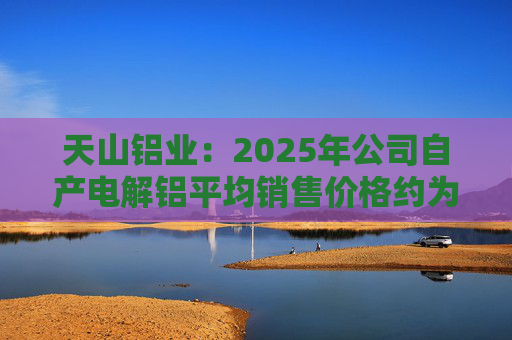 天山铝业：2025年公司自产电解铝平均销售价格约为20600元/吨
