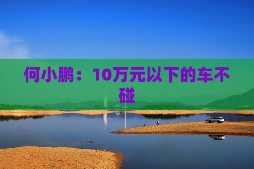何小鹏：10万元以下的车不碰