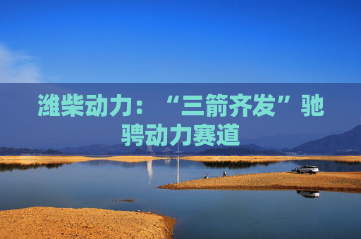 潍柴动力：“三箭齐发”驰骋动力赛道