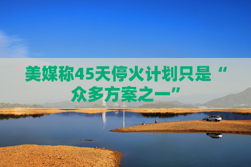 美媒称45天停火计划只是“众多方案之一”