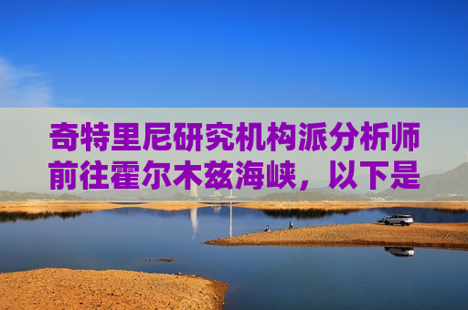 奇特里尼研究机构派分析师前往霍尔木兹海峡，以下是其调查结果