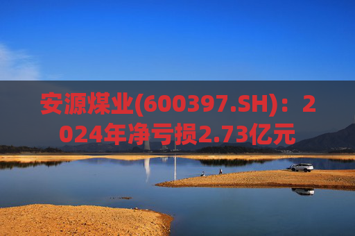 安源煤业(600397.SH)：2024年净亏损2.73亿元