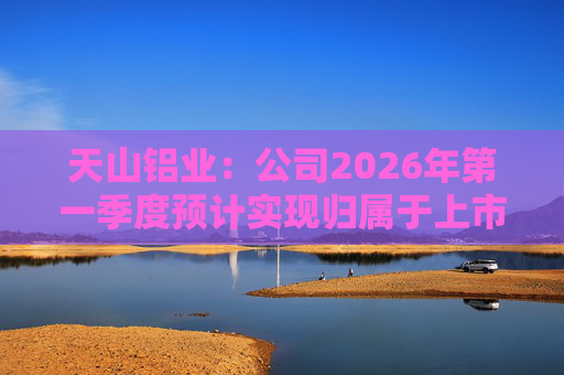 天山铝业：公司2026年第一季度预计实现归属于上市公司股东的净利润220000万元