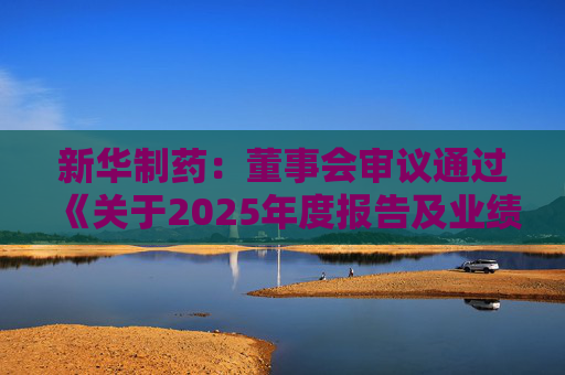 新华制药：董事会审议通过《关于2025年度报告及业绩公告的议案》等多项议案