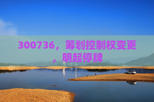 300736，筹划控制权变更，明起停牌