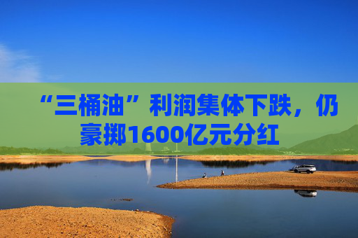 “三桶油”利润集体下跌，仍豪掷1600亿元分红  第1张