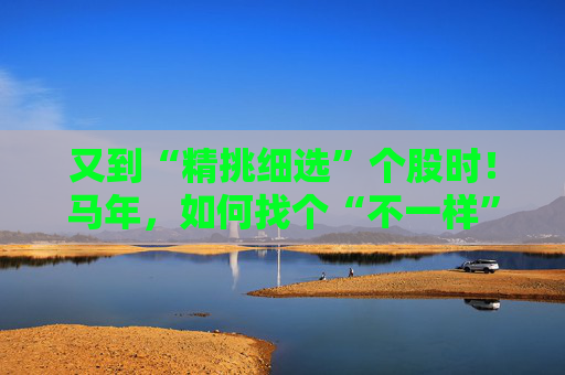 又到“精挑细选”个股时！马年，如何找个“不一样”的基金管理人替你出赛？