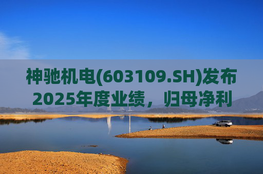 神驰机电(603109.SH)发布2025年度业绩，归母净利润1.34亿元，同比下降30.94%