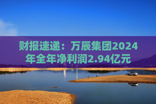 财报速递：万辰集团2024年全年净利润2.94亿元