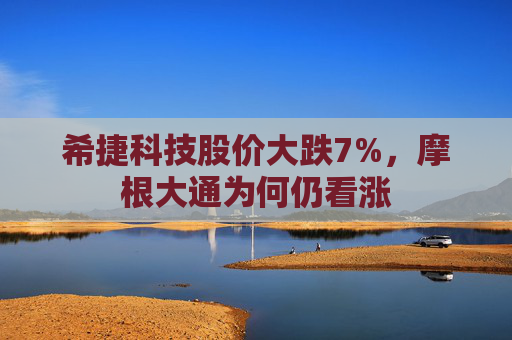 希捷科技股价大跌7%，摩根大通为何仍看涨  第1张