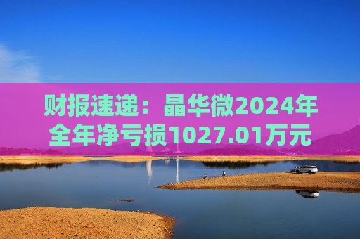 财报速递:晶华微2024年全年净亏损1027.01万元