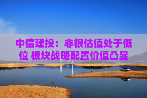 中信建投：非银估值处于低位 板块战略配置价值凸显