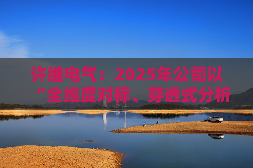 许继电气：2025年公司以“全维度对标、穿透式分析、动态化管控”为核心