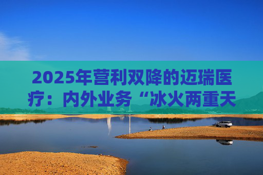 2025年营利双降的迈瑞医疗：内外业务“冰火两重天”
