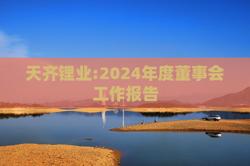 天齐锂业:2024年度董事会工作报告