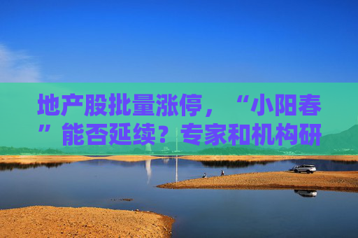 地产股批量涨停，“小阳春”能否延续？专家和机构研判来了