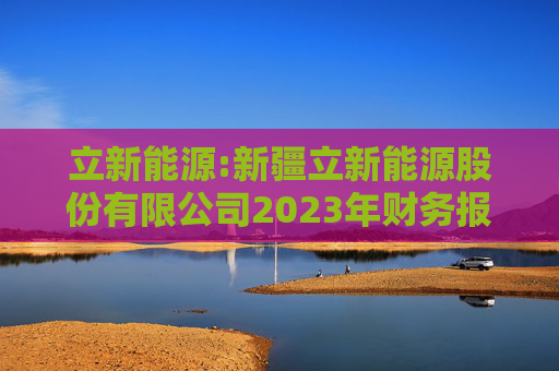 立新能源:新疆立新能源股份有限公司2023年财务报表审计报告书
