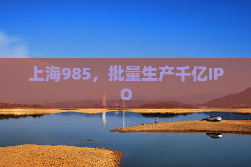 上海985，批量生产千亿IPO