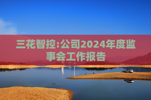 三花智控:公司2024年度监事会工作报告