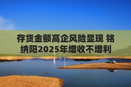 存货金额高企风险显现 铭纳阳2025年增收不增利  第1张