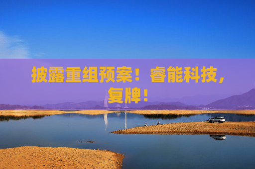 披露重组预案！睿能科技，复牌！