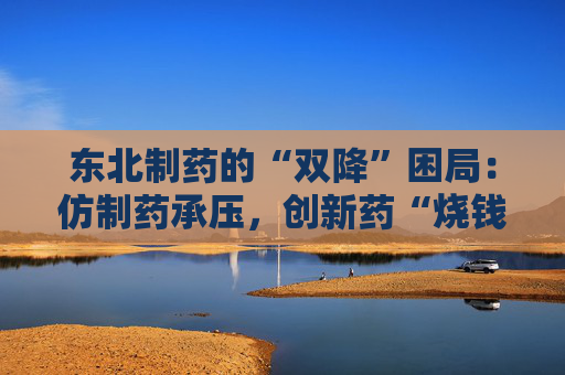 东北制药的“双降”困局：仿制药承压，创新药“烧钱”  第1张