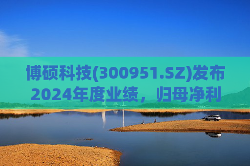 博硕科技(300951.SZ)发布2024年度业绩，归母净利润2.11亿元，同比下降17.35%  第1张