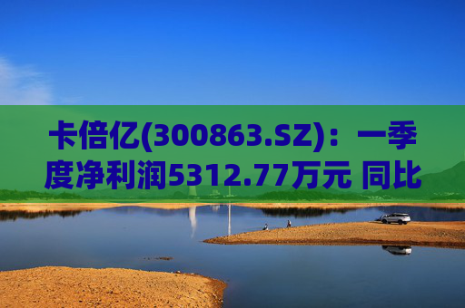 卡倍亿(300863.SZ)：一季度净利润5312.77万元 同比增加20.30%  第1张