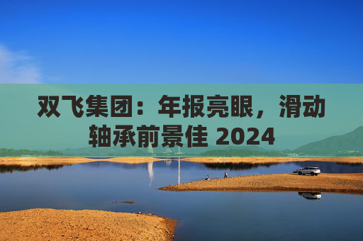 双飞集团：年报亮眼，滑动轴承前景佳 2024  第1张