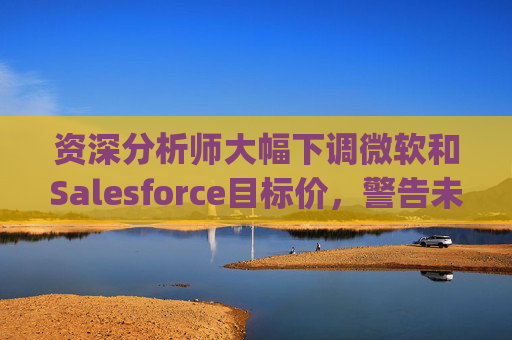资深分析师大幅下调微软和Salesforce目标价，警告未来一年将"艰难"