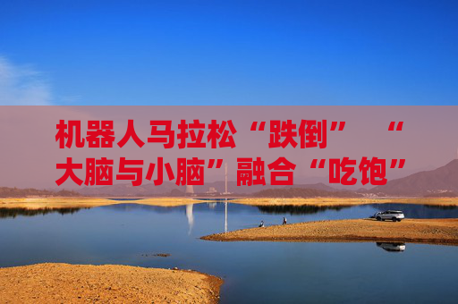 机器人马拉松“跌倒”  “大脑与小脑”融合“吃饱” 第1张