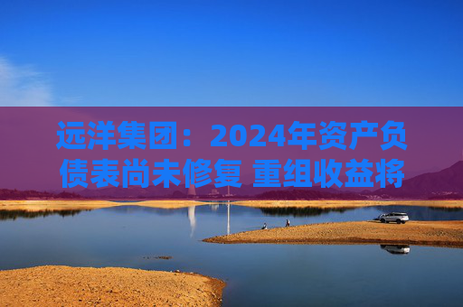 远洋集团：2024年资产负债表尚未修复 重组收益将于2025年释放
