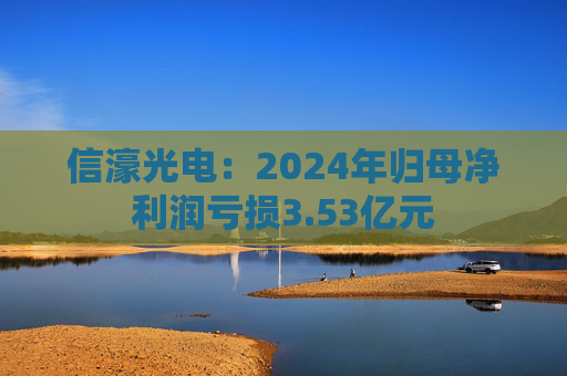 信濠光电：2024年归母净利润亏损3.53亿元  第1张