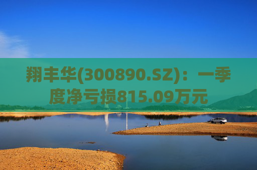 翔丰华(300890.SZ)：一季度净亏损815.09万元  第1张