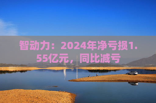智动力：2024年净亏损1.55亿元，同比减亏