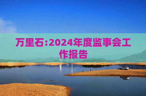 万里石:2024年度监事会工作报告