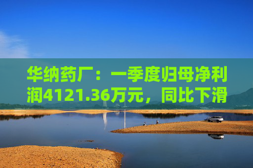 华纳药厂：一季度归母净利润4121.36万元，同比下滑31.37%