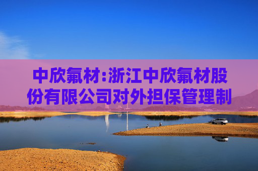 中欣氟材:浙江中欣氟材股份有限公司对外担保管理制度